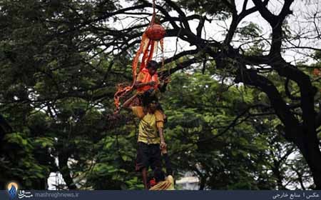 اخبار,اخبار گوناگون,جشن جانمشتمی