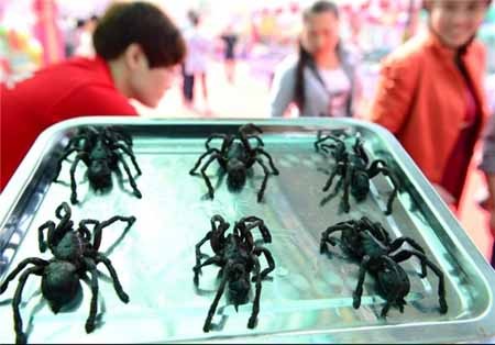 اخبار,اخبار گوناگون,غذاهای عجیب و غریب