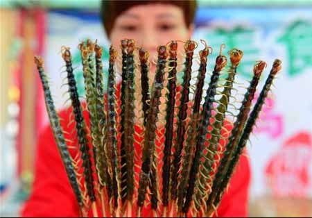 اخبار,اخبار گوناگون,غذاهای عجیب و غریب