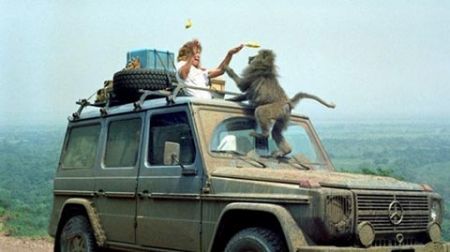 اخبار,اخبار گوناگون,3 دهه سفر بدون توقف به دور دنیا