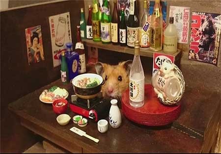 اخبار,اخبار گوناگون , همستر