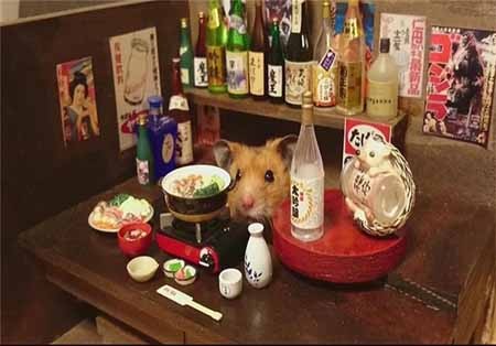 اخبار,اخبار گوناگون,زندگی زیبای همسترها