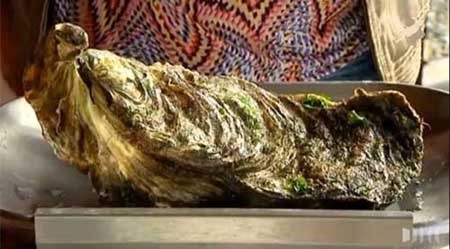 اخبار , اخبار گوناگون , سنگین‌ترین صدف جهان