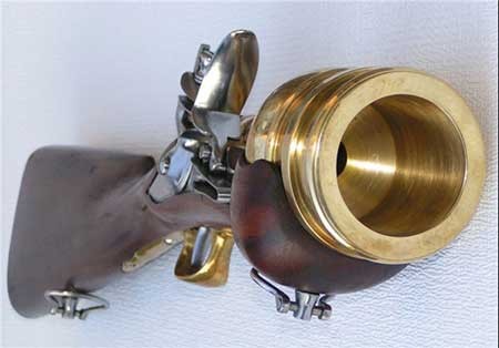 اخبار,اخبار گوناگون ,سلاحهایی عجیب اخبار,اخبار گوناگون ,سلاحهایی عجیب
