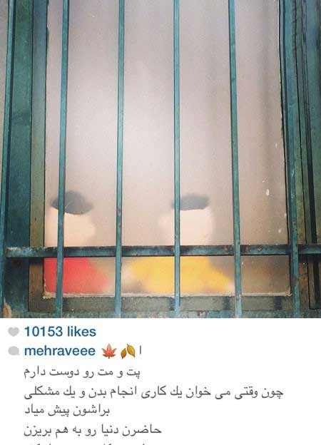 اخبار,اخبار فرهنگی ,چهره ها در شبکه‌های اجتماعی