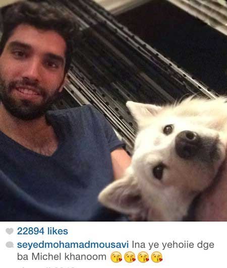 اخبار,اخبار فرهنگی ,چهره ها در شبکه‌های اجتماعی