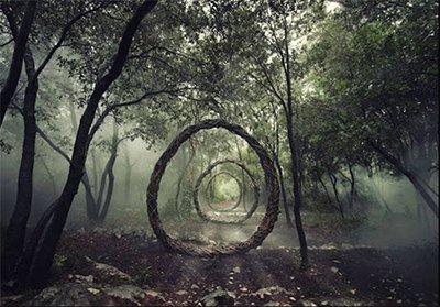 اخبار,اخبار گوناگون,مجسمه طبیعی