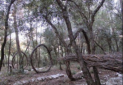 اخبار,اخبار گوناگون,مجسمه طبیعی