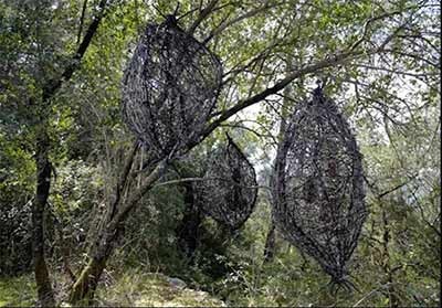 اخبار,اخبار گوناگون,مجسمه طبیعی