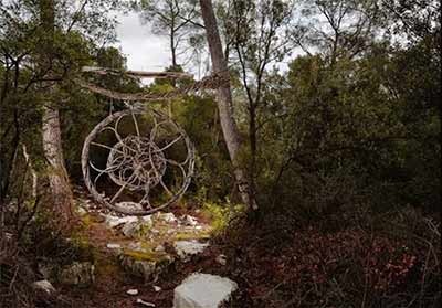 اخبار,اخبار گوناگون,مجسمه طبیعی