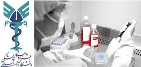 اخبار,اخبار دانشگاه ,دانشگاه آزاد اخبار,اخبار دانشگاه ,دانشگاه آزاد