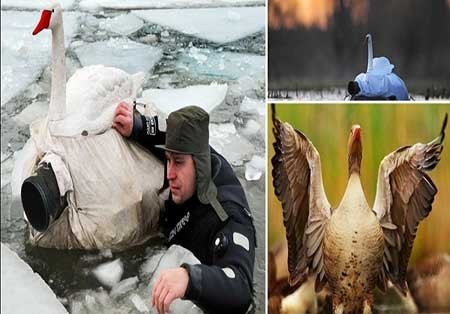 اخبار , اخبار گوناگون , عکاسان حرفه‌ای