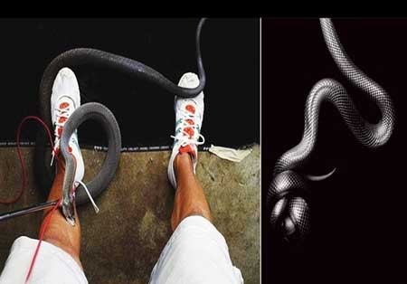 اخبار , اخبار گوناگون , عکاسان حرفه‌ای