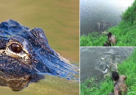 اخبار , اخبار گوناگون , عکاسان حرفه‌ای