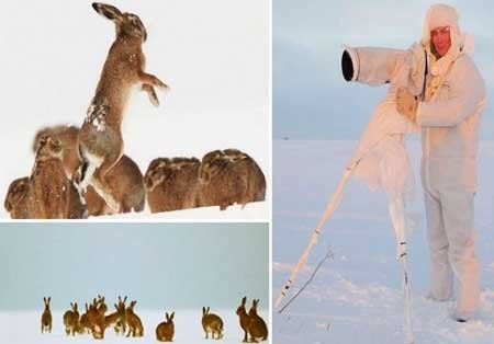 اخبار , اخبار گوناگون , عکاسان حرفه‌ای