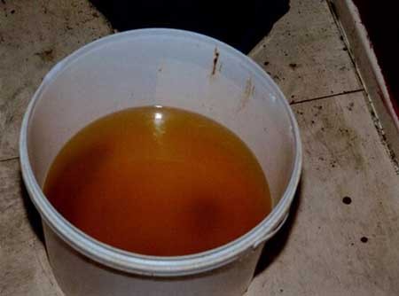 زندگی دو کودک بیگناه در میان مدفوع و آشغال/ پدر و مادر مست راهی دادگاه شدند + تصاویر 1