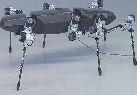 اخبار,اخبار گوناگون, ربات به شکل حشره