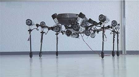 اخبار,اخبار گوناگون, ربات به شکل حشره