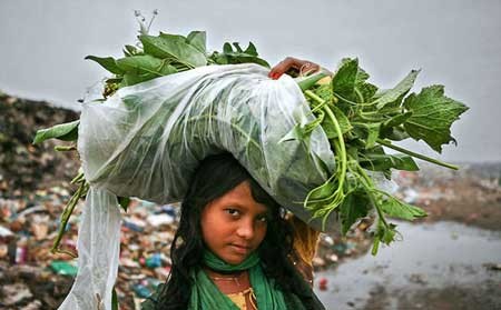 اخبار,اخبار گوناگون,زباله جمع کن ها در بنگلادش