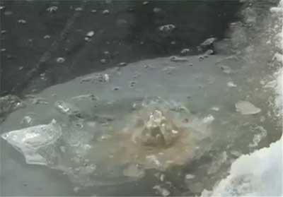 اخبار,اخبار گوناگون,حباب‌های یخی قابل اشتعال در سطح دریاچه