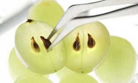 هسته انگور، جایگزین جدید شیمی درمانی