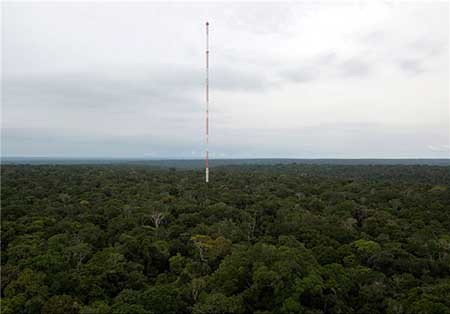 برج هواشناسی بزرگترین جنگل جهان+تصاویر