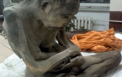 اخبار,اخبار گوناگون,مومیایی