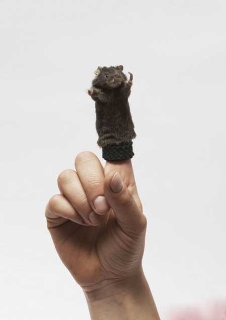 اخبار,اخبار گوناگون ,مجسمه های عجیب