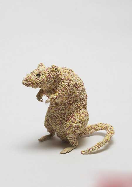 اخبار,اخبار گوناگون ,مجسمه های عجیب