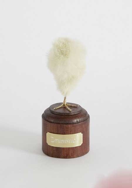 اخبار,اخبار گوناگون ,مجسمه های عجیب