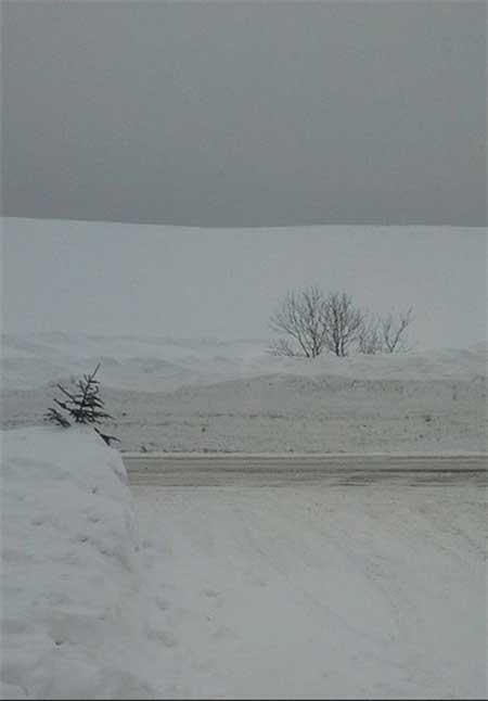 اخبار,اخبار گوناگون ,شهر پوشیده از برف