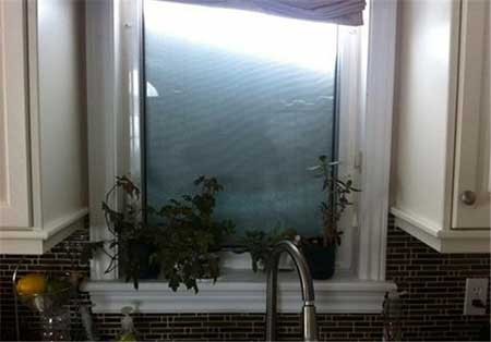 اخبار,اخبار گوناگون ,شهر پوشیده از برف