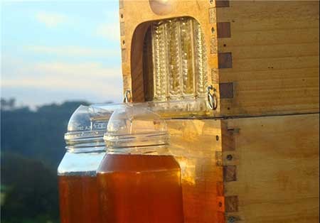 اخبار,اخبار گوناگون ,پرورش‌دهنده زنبور عسل 