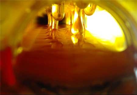 اخبار,اخبار گوناگون ,پرورش‌دهنده زنبور عسل 