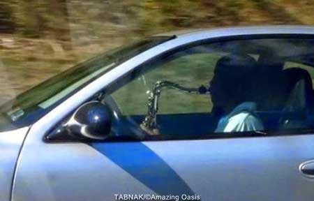 عکسهایی که باورشان سخت است! 1