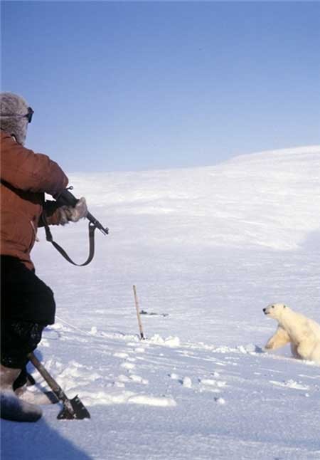 اخبار,اخبار گوناگون ,حیوانات در خطر انقراض