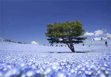 اخبار,اخبار گوناگون , عجیب‌ترین  طبیعت‌ها