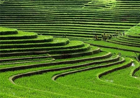 اخبار,اخبار گوناگون , عجیب‌ترین  طبیعت‌ها