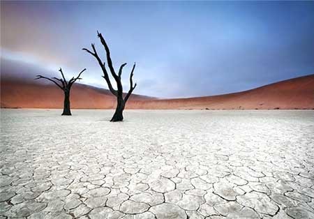 اخبار,اخبار گوناگون , عجیب‌ترین  طبیعت‌ها