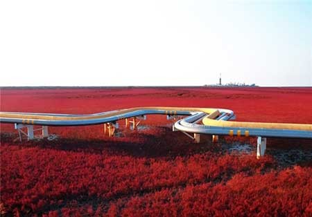 اخبار,اخبار گوناگون , عجیب‌ترین  طبیعت‌ها