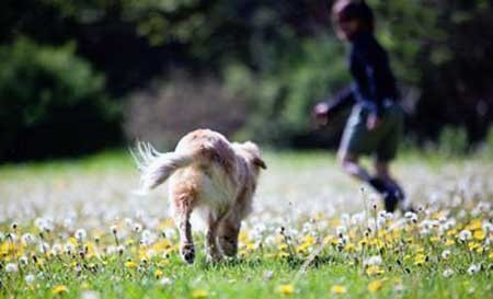 اخبار,اخبار گوناگون , خوشروترین حیوان