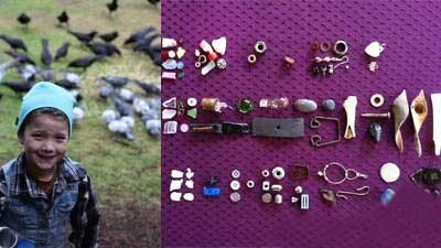 اخبار,اخبار گوناگون ,دوستی دختر با کلاغ ها 