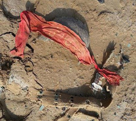 اخبار , اخبار علمی,ساخت دستگاه استخوان یاب,تصاویر دستگاه جسد یاب