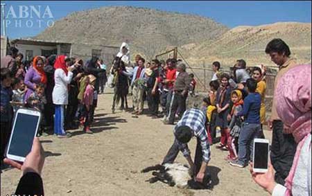 ازدواج زوج چینی در روستای قلعه خان