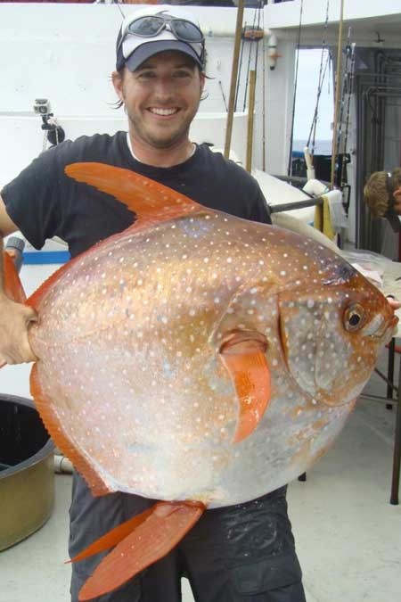 کشف نخستین گونه ماهی‌های خونگرم در دنیا + عکس 1