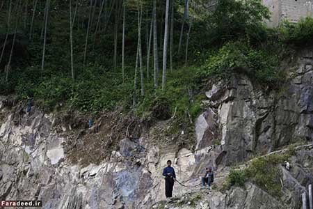 اخبار,اخبارگوناگون ,پسری با قلاده