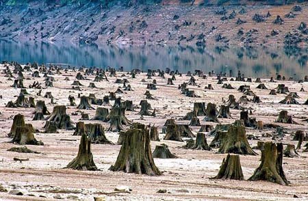 اخبار , اخبار گوناگون,لحظات مرگ تدریجی کره زمین,مرگ تدریجی کره زمین