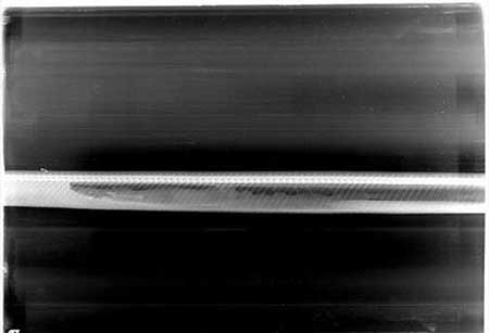 مراحل گوارش تمساح در شکم پیتون