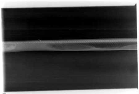 مراحل گوارش تمساح در شکم پیتون