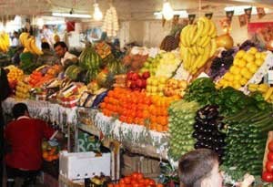 اخبار,اخبار اقتصادی ,واردات میوه‌‌های فرنگی 